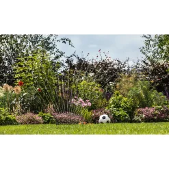 Bosch Pumper > DIY GARDENPUMP 18V-2000 HAVEPUMPE