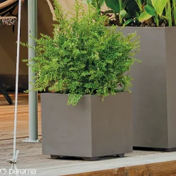 Deroma Havekrukker > MILLENIUM 208-623 PLANTEKASSE PLASTIK SANDSTEN 49X49X49 CM