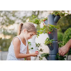 Garden Life Frø & Spiring > JORDBÆR PLANTEKASSE Ø32XH77 CM
