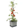Garden Life Frø & Spiring > TOMAT PLANTEKASSE L34,7XB27,7XH135,4 CM