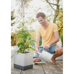Garden Life Frø & Spiring > TOMAT PLANTEKASSE L34,7XB27,7XH135,4 CM
