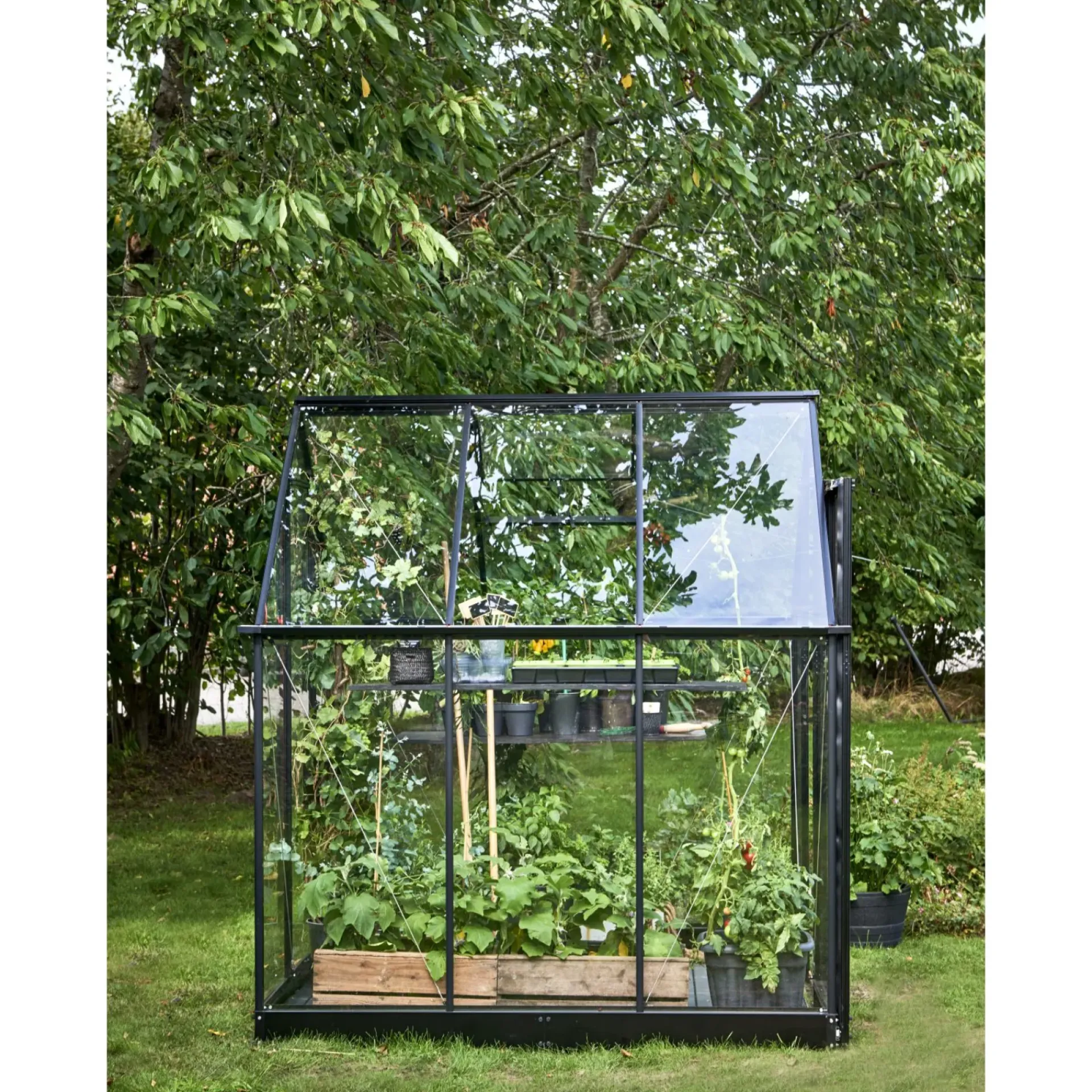 Halls Drivhuse > QUBE 66 DRIVHUS 3 MM HÆRDET GLAS HELE BANER SORT 3,9 M2