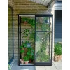 Halls Vægdrivhuse > QUBE LEAN-TO 24 VÆGDRIVHUS 3 MM HÆRDET GLAS SORT 0,9 M2