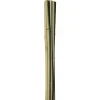HOME it GARDEN Frø & Spiring > BAMBUSPINDE 150 CM