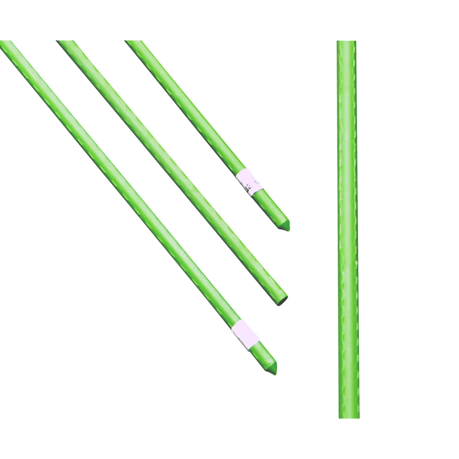 HOME it GARDEN Frø & Spiring > BLOMSTERPINDE 150 CM