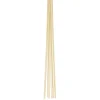 HOME it GARDEN Frø & Spiring > BLOMSTERPINDE 50 CM