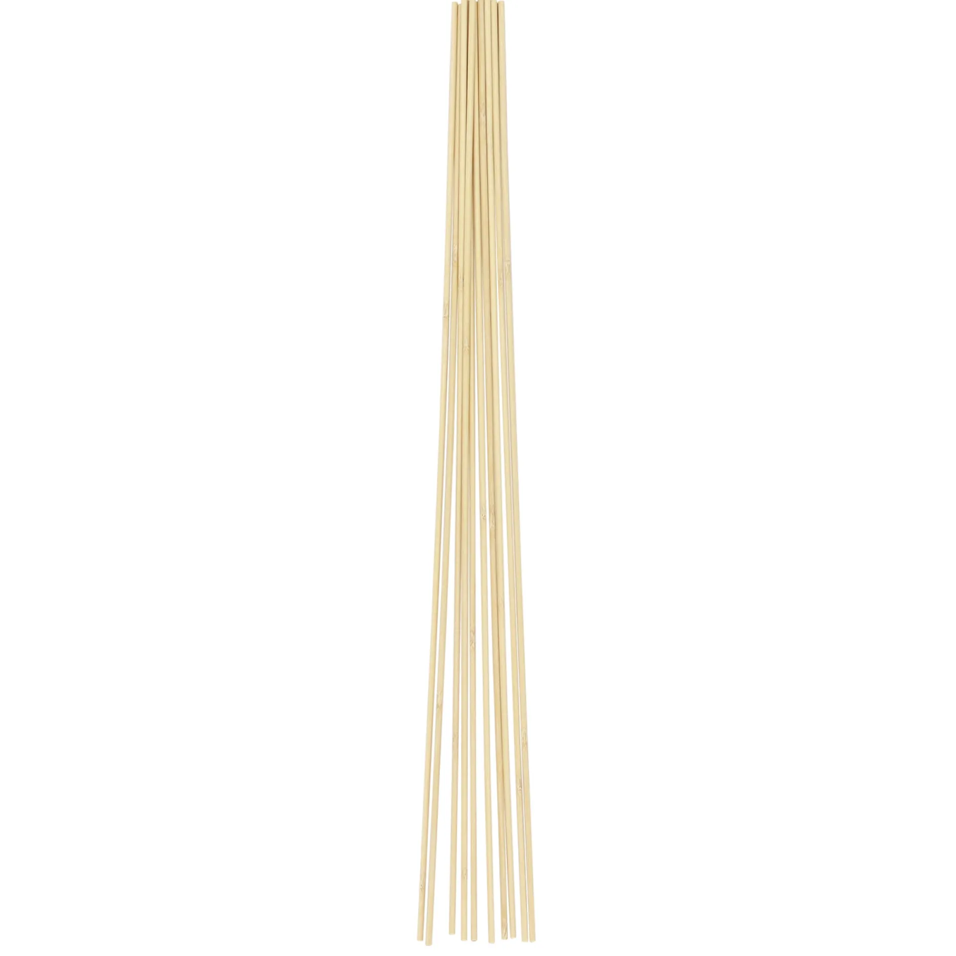 HOME it GARDEN Frø & Spiring > BLOMSTERPINDE 50 CM
