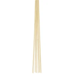 HOME it GARDEN Frø & Spiring > BLOMSTERPINDE 70 CM