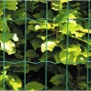Hortus Trådhegn & Volierenet > HEGN GRØN PLASTBELAGT 0.60 X 25 M