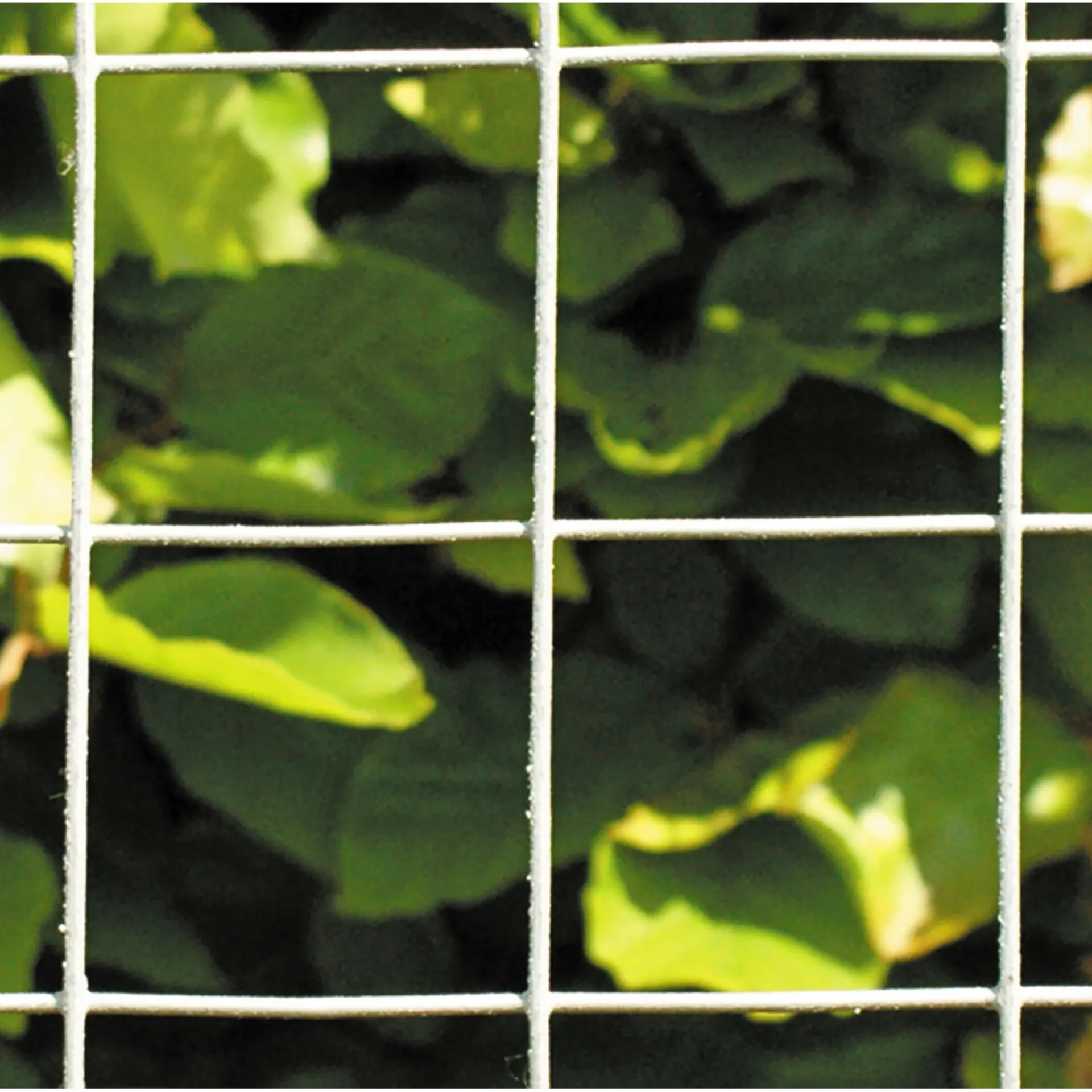 Hortus Trådhegn & Volierenet > HEGN SØLV GALVANISERET 0.60 X 25 M