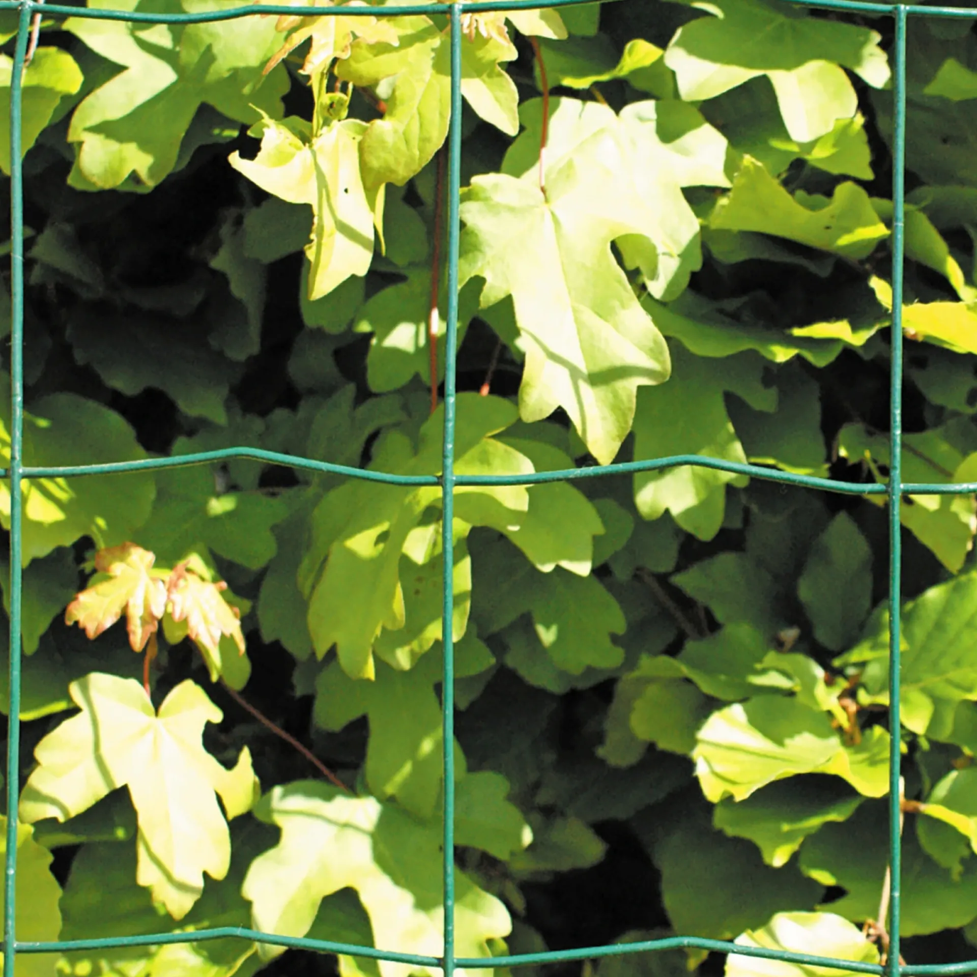 Hortus Trådhegn & Volierenet > PVC FRI TRÅDHEGN GRØN PLASTBELAGT 0.60 X 20 M
