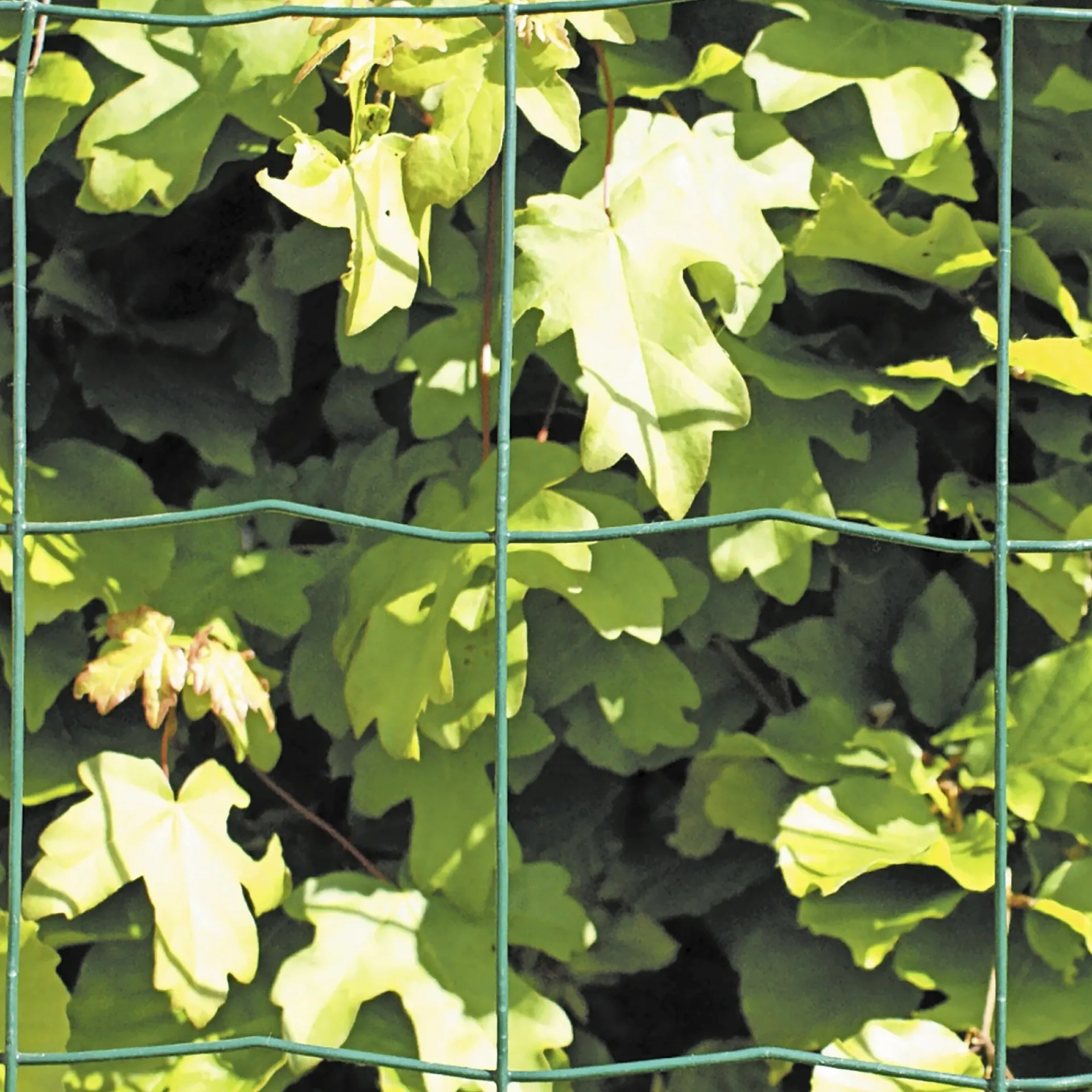 Hortus Trådhegn & Volierenet > PVC FRI TRÅDHEGN GRØN PLASTBELAGT 1.10 X 20 M