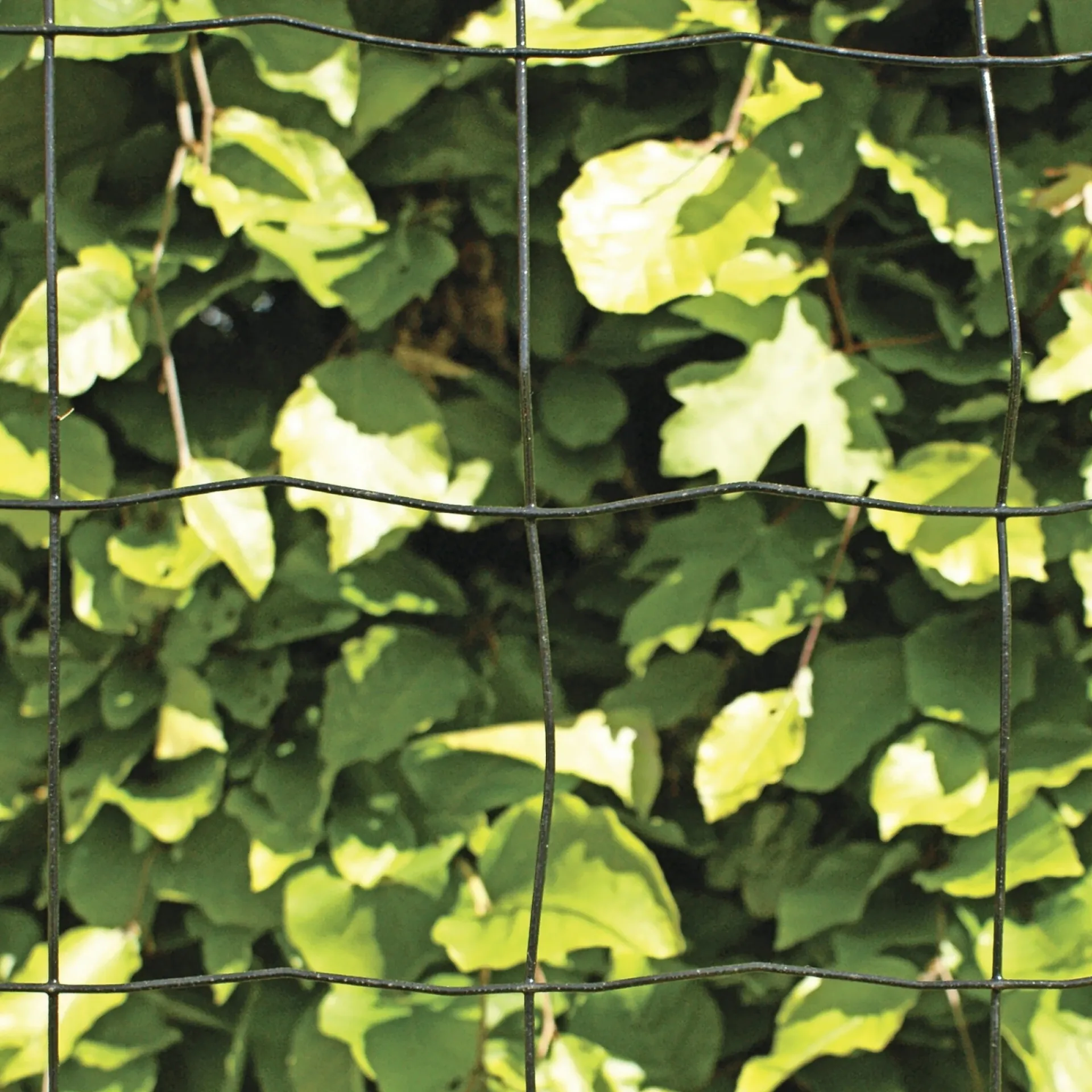 Hortus Trådhegn & Volierenet > PVC FRI TRÅDHEGN SORT PLASTBELAGT 0.90 X 20 M