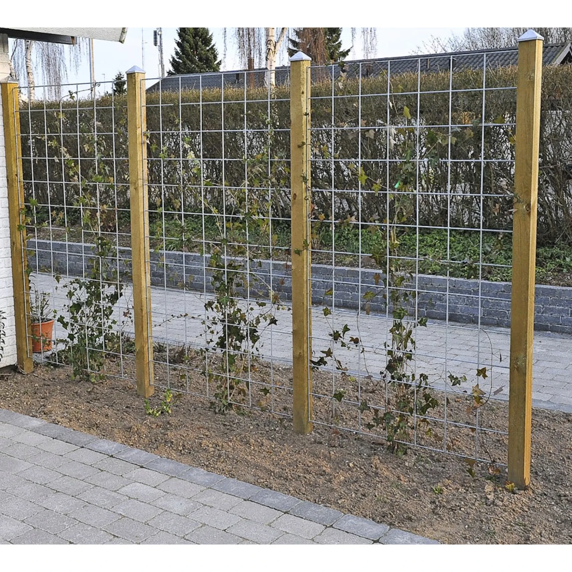 Hortus Tilbehør Hegn > RIONET ESPALIER METAL SØLV 90 X 180 CM