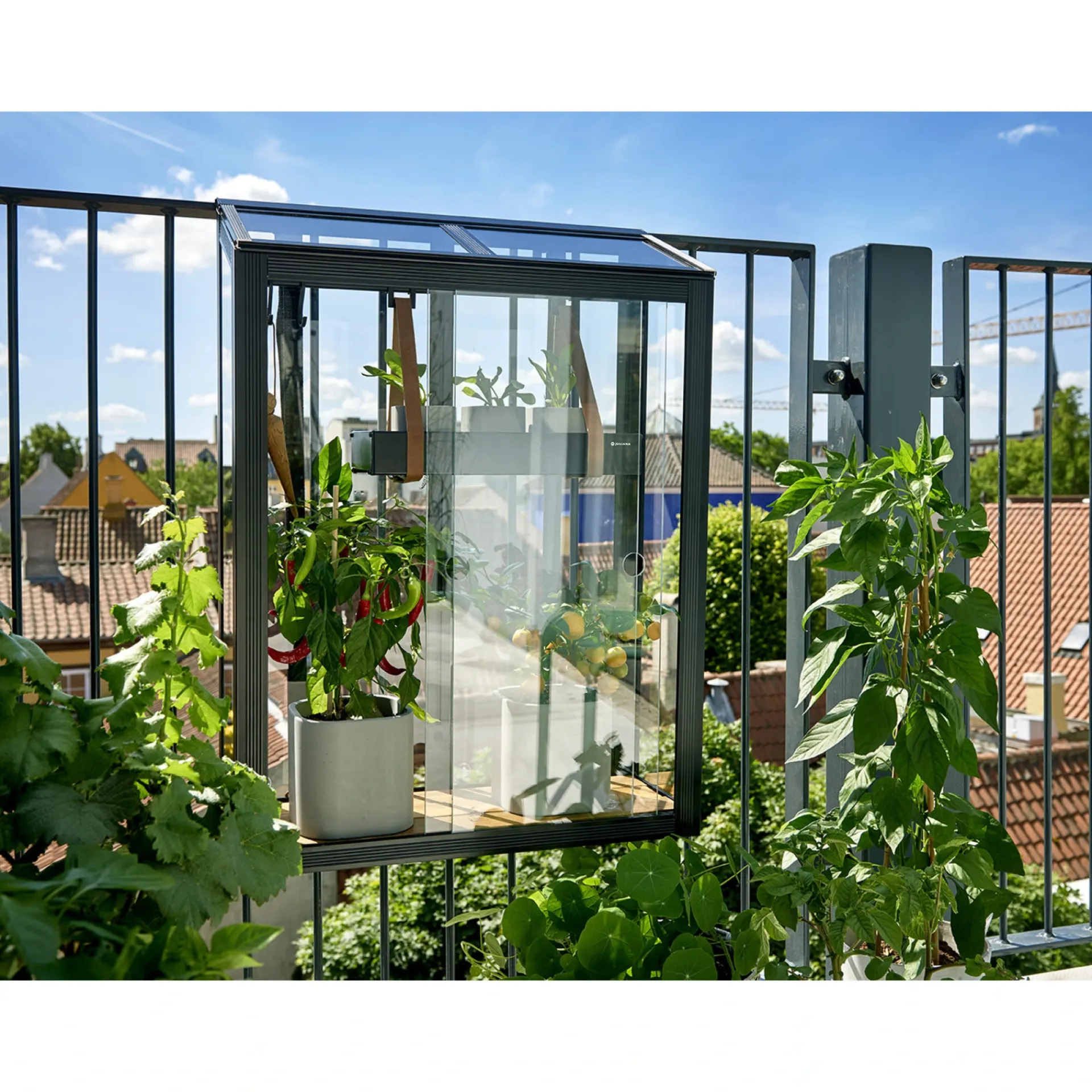 Juliana Vægdrivhuse > URBAN BALCONY VÆGDRIVHUS 4 MM HÆRDET GLAS HELE BANER SORT 0,16 M²