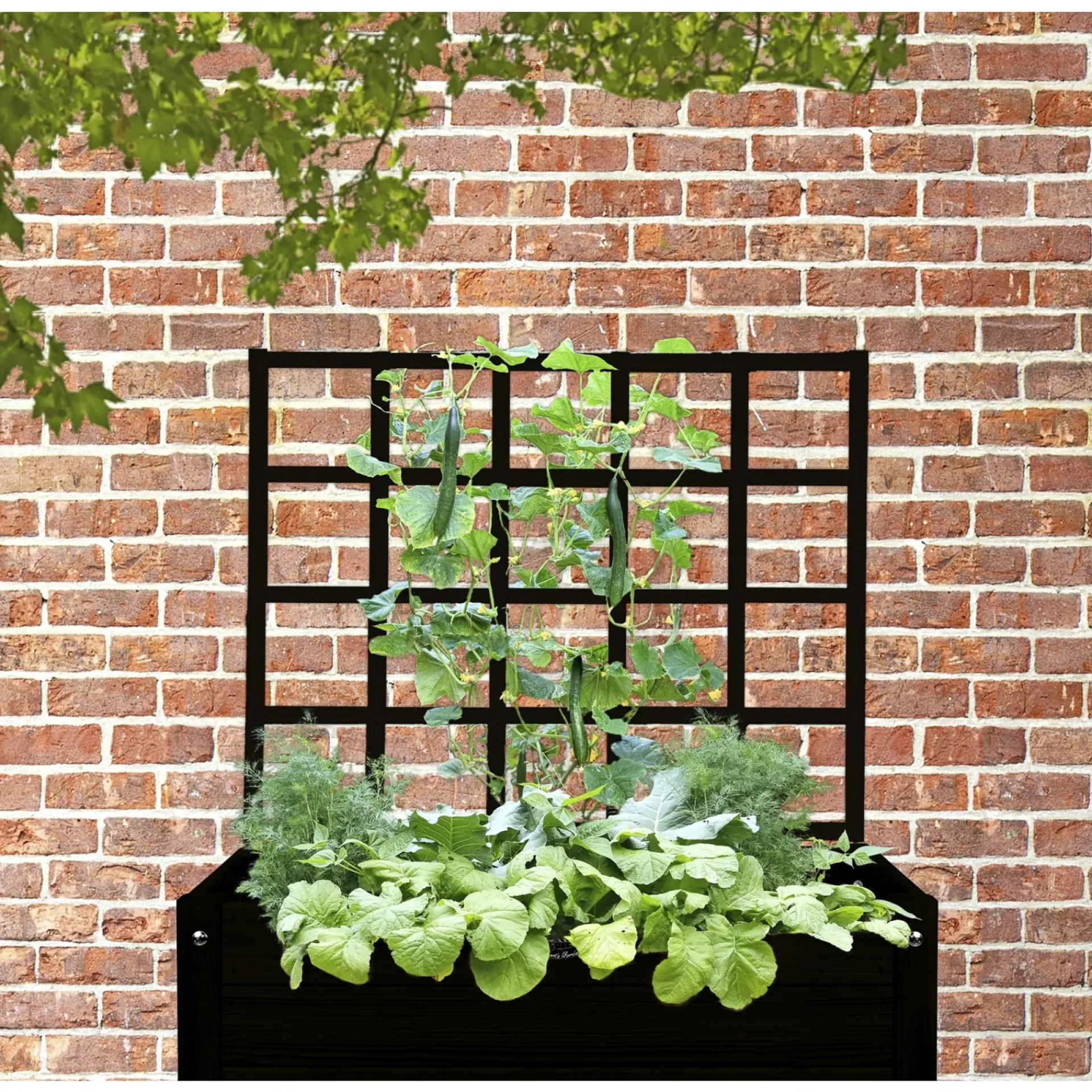 LAND Højbede & Plantekasser > ESPALIER