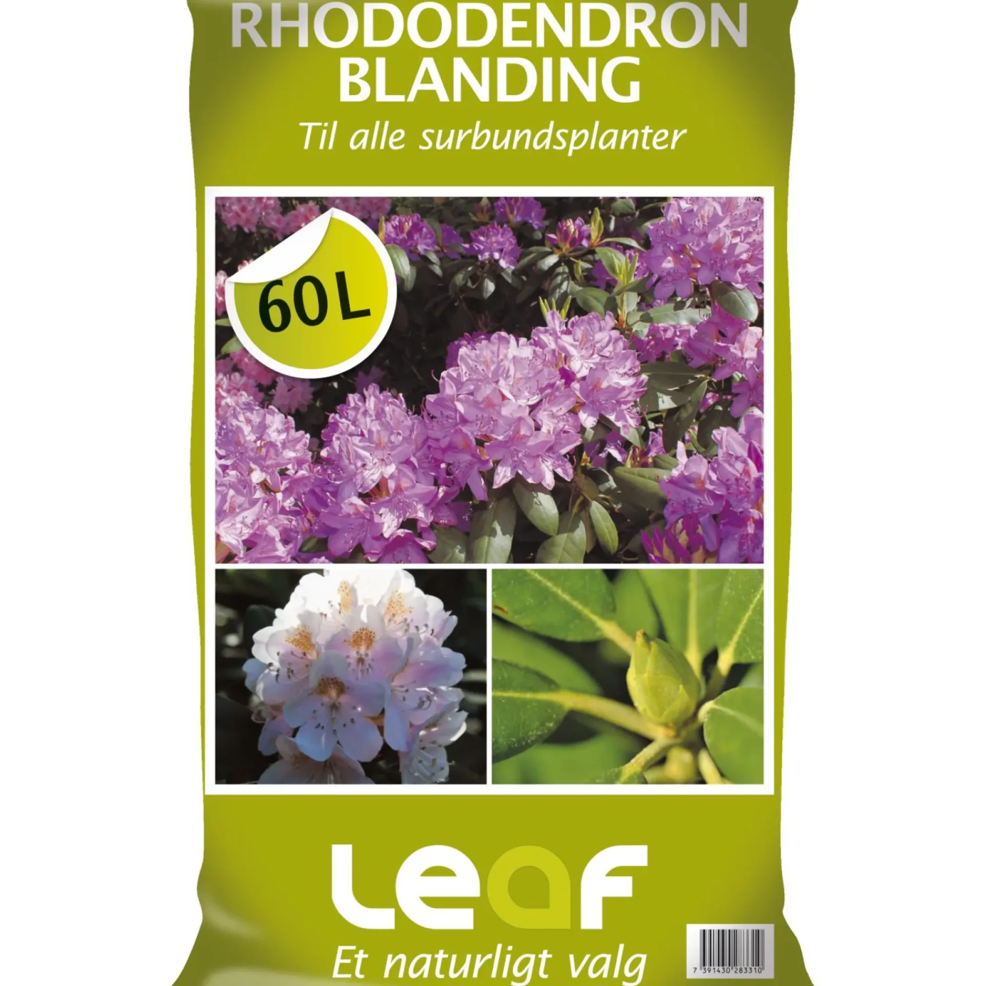 Leaf Jord > RHODODENDRONBLANDING 60 L