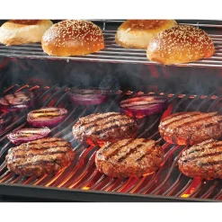 Napoleon Gasgrill > ROGUE PRO-S 525 GASGRILL MATSORT