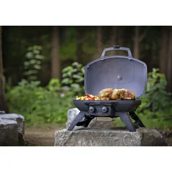 Napoleon Gasgrill > TRAVELQ 285 GASGRILL SORT