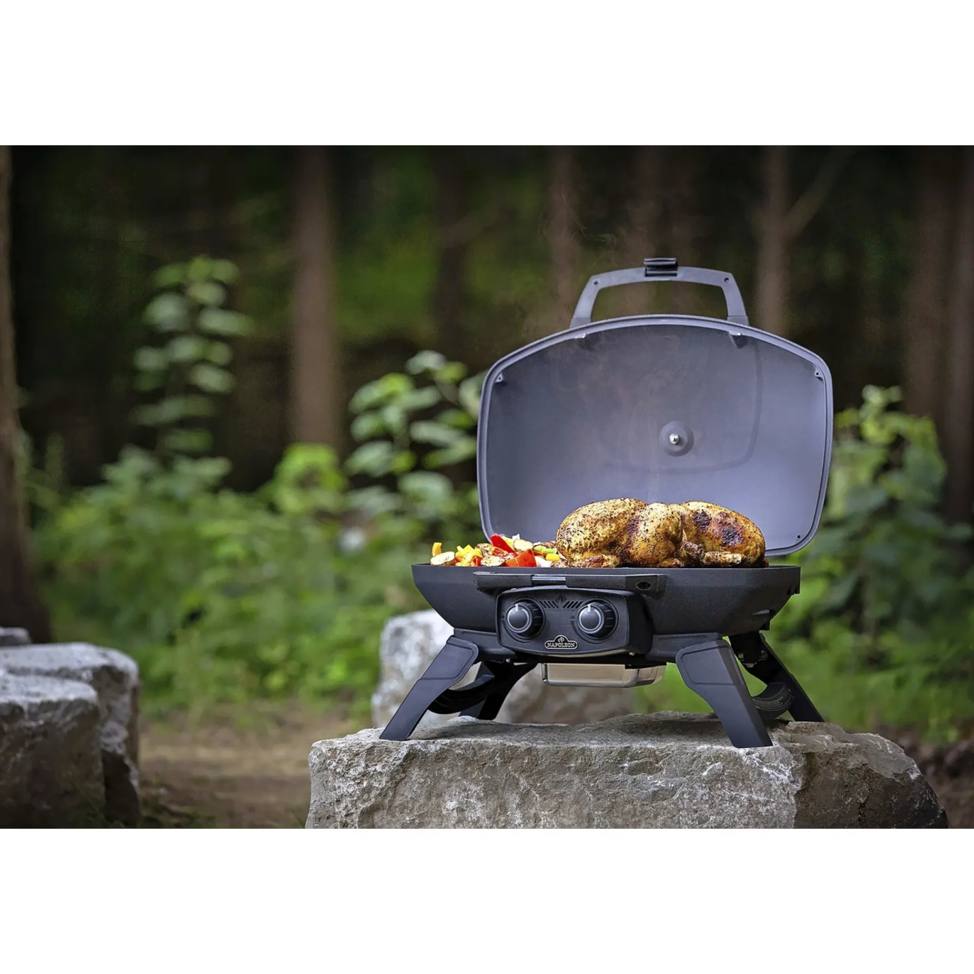 Napoleon Gasgrill > TRAVELQ 285 GASGRILL SORT