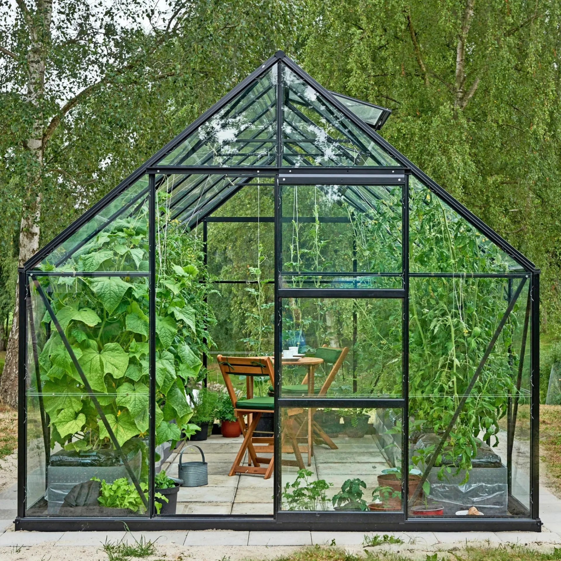 Outrium Drivhuse > DRIVHUS INKL. SOKKEL 3 MM DELT GLAS SORT 9,9 M2