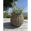 Outrium Havekrukker > INDO SÆT Á 2 STK. HAVEKRUKKE KUBO RATTAN NATUR 29X58X43