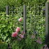 Plus Tilbehør Hegn > ESPALIER STÅL GALVANISERET LOOK 90 X 180 CM
