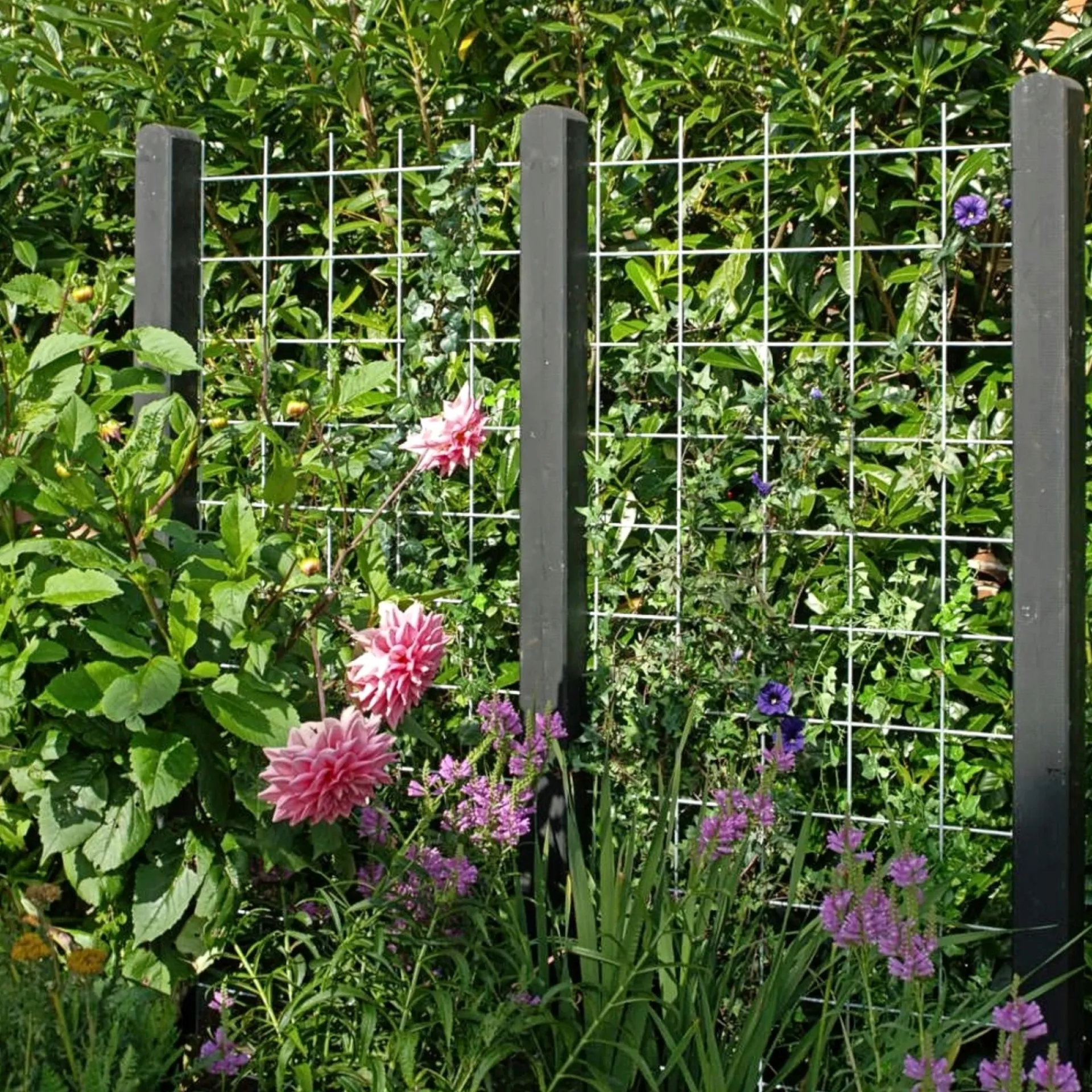 Plus Tilbehør Hegn > ESPALIER STÅL GALVANISERET LOOK 90 X 180 CM