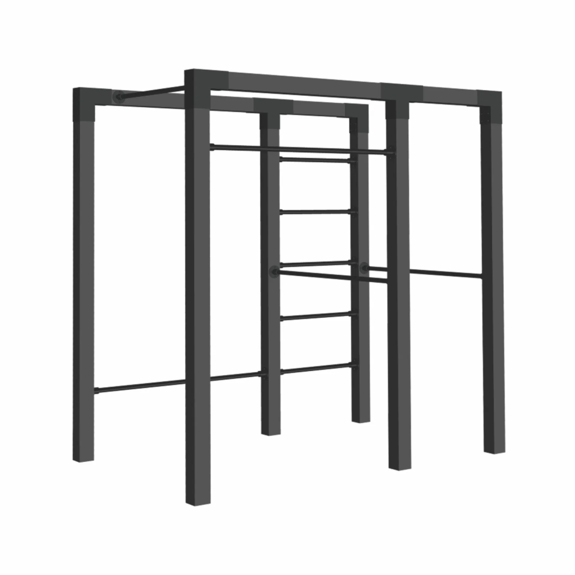 Plus Udendørs Træning > FITNESSSTATIV 220 X 138 X 210 CM SORT