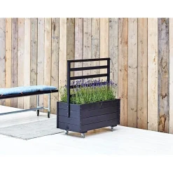 Plus Højbede & Plantekasser > MED ESPALIER BLOMSTERRUMDELER SORT 105 X 48 X 88 CM