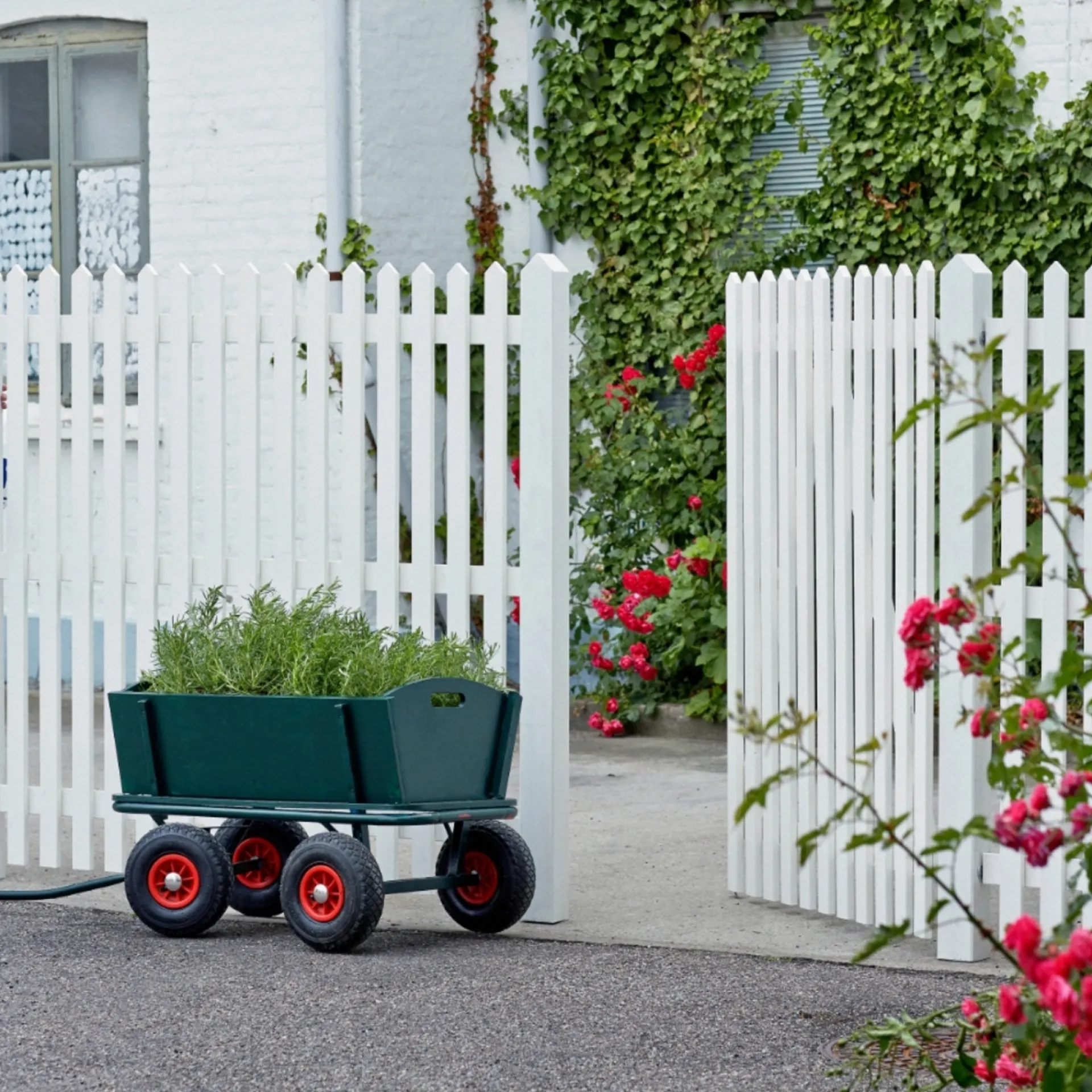 Plus Træhegn > SKAGEN LÅGE FUNGICIDBEHANDLET OG GRUNDMALET 2 GANGE HVID 100 X 120 CM